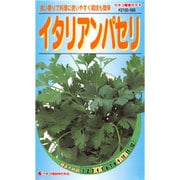 KS100シリーズ（野菜） No.568 イタリアンパセリ