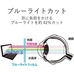 ヨドバシ.com - エレコム ELECOM EF-PFFC1 [液晶保護フィルター 覗き見