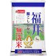 無洗米 福井県産 こしひかり 5kg 令和5年産