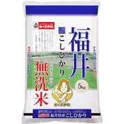 無洗米 福井県産 こしひかり 5kg 令和5年産