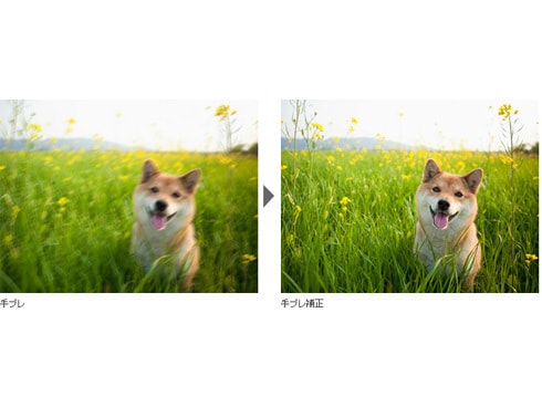 ヨドバシ.com - パナソニック Panasonic DMC-TZ70-S [コンパクト ヨドバシ.com - パナソニック Panasonic DMC-TZ70-S [コンパクト