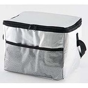 ソフトクーラーバッグアルミ 10L