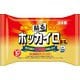 ホッカイロ 貼る ミニ 10個入 [貼るタイプ]