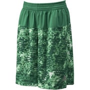 IRO02-S14847-J/M [AIS HORIZ SHORT Mサイズ GRN/フラッシュGRN]
