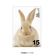 2015年度版 A5マンスダイアリー ベスティオーラ 2015年3月から ラビットWH DMD43-C-01