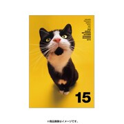 2015年度版 A5マンスダイアリー ベスティオーラ 2015年3月から キャットYE DMD43-C-05