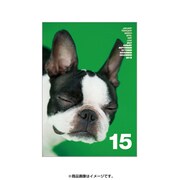 2015年度版 A5マンスダイアリー ベスティオーラ 2015年3月から ドッグGR DMD43-C-06