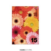 2015年度版 A5マンスダイアリー フィオーレ GB-AS DMD43-A-03