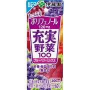 充実野菜 ブルーベリーミックス [紙パック200ml×24]