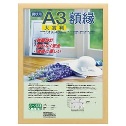 樹脂製軽量額縁 大賞判 木目調 フ-KWP-61