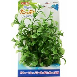 癒し水景 たっぷりハイグロフィラ [アクアリウム用内装]