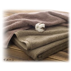 ヨドバシ.com - スタイレム 今治タオル 四国今治産 極上タオル