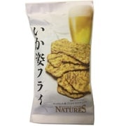 北日本食品 ネイチャーズ いか姿フライ 5枚