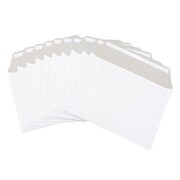 デリバリーパック B5用 10枚 DLB5-10P