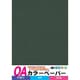 カラーペーパー中厚口 A4判 20枚 黒 OACC-BL20S