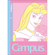 S2063638 [キャンパスふせんDCオーロラ]