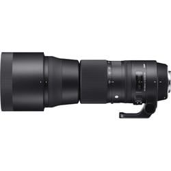 週末限定値下げ SIGMA 60-600mm 超望遠 ニコンF お買得 シグマ