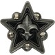 Hard Metal Star Studded [クロックス ジビッツ チャーム ハード メタル スター スタッド]