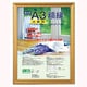 樹脂製賞状額 金ケシ 大賞判 ﾌ-KWP-41/N