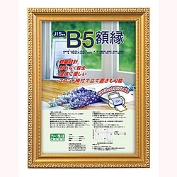 樹脂製賞状額 金ケシ B5 ﾌ-KWP-31/N