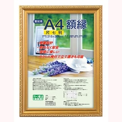 樹脂製賞状額 金ケシ 尺七判 ﾌ-KWP-34/N