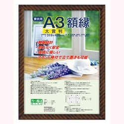 樹脂製賞状額 金ラック 大賞判 ﾌ-KWP-21/N