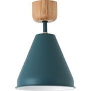 シーリングランプ ブルーグリーン COLOR & WOOD CEILING LAMP 1BULB 電球なし BL.GN