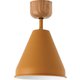 シーリングランプ イエロー COLOR & WOOD CEILING LAMP 1BULB 電球なし YE