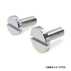 クローム 装飾ねじスリット(16-3)M6×25 2個入 557-153