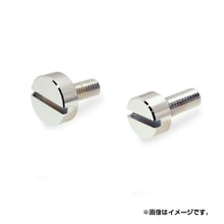 クローム 装飾ねじスリット(12-6)M6×25 2個入 557-158