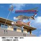黄金 1.2m 赤 [鯉のぼり 単品]