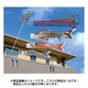 黄金 1.2m 青 [鯉のぼり 単品]