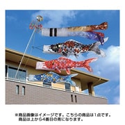 地染め 寿 0.9m 青 [鯉のぼり 単品]