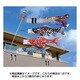 地染め 寿 1.5m 赤 [鯉のぼり 単品]