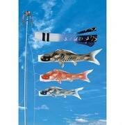 積美画 ちりめん金彩 [鯉のぼり 庭用 4m 翔鶴ゴールド吹流し 撥水加工 3匹6点セット]