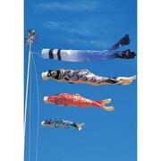 皇彩 [鯉のぼり 庭用 5m シルックサテン翔鶴ゴールド吹流し 撥水加工 3匹6点セット]