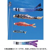 皇彩 [鯉のぼり 庭用 6m シルックサテンおおとり吹流し 撥水加工 3匹6点セット]