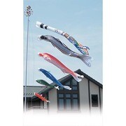 積美画 スターゴールド [鯉のぼり 庭用 3m 雲龍吹流し 5匹8点セット]