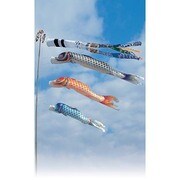 美山錦 [鯉のぼり 庭用 6m 雲龍吹流し 3匹6点セット]