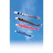 錦綾 [鯉のぼり 庭用 3m 雲龍吹流し 3匹6点セット]