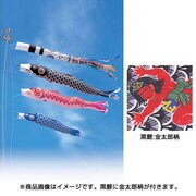 錦綾 [鯉のぼり 庭用 5m 雲龍吹流し 金太郎付 3匹6点セット]