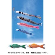 錦綾 [鯉のぼり 庭用 5m 雲龍吹流し 5匹8点セット]