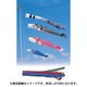 昴 [鯉のぼり 庭用 6m 五色吹流し 3匹6点セット]