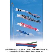 昴 [鯉のぼり 庭用 6m 五色吹流し 金太郎付 3匹6点セット]