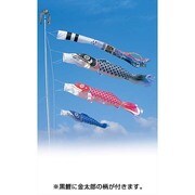 昴 [鯉のぼり 庭用 8m 雲龍吹流し 金太郎付 3匹6点セット]