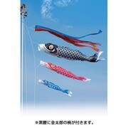 ナイロン鯉 [鯉のぼり 庭用 7m 五色吹流し 金太郎付 3匹6点セット]