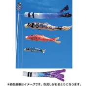 皇彩 F#300ST [鯉のぼり 庭用 おおとり吹流し付 撥水加工 スタンドガーデンセット(砂袋付)]