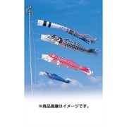昴 F#300ST [鯉のぼり 庭用 雲龍吹流し付 スタンドガーデンセット(砂袋付)]