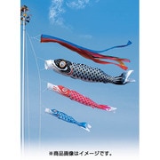 ナイロン F#300ST [鯉のぼり 庭用 五色吹流し付 スタンドガーデンセット(砂袋付)]