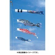 はねぼう F#300 [鯉のぼり 庭用 はねぼう昇竜吹流し付 ガーデンセット]